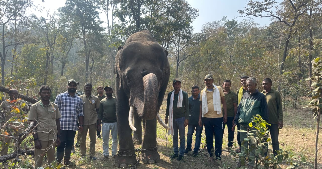 गडचिरोलीच्या लॉयड्स मेटल्स एंड एनर्जी लिमिटेडची कमलापूर एलिफंट कॅम्प येथील हत्ती प्रशिक्षण कार्यक्रमाला मोठी मदत
