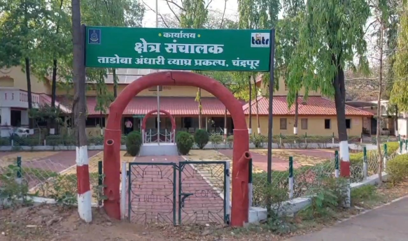 चंद्रपूर जिल्ह्यातील ताडोबा-अंधारी व्याघ्र प्रकल्पाच्या ‘लेपीस्कॅन-बटरफ्लाय आयडी’ ॲपचे लोकार्पण